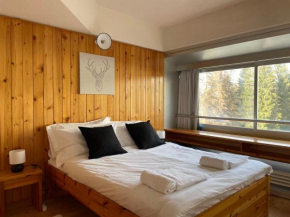 Ski House Dal Renzo Marilleva